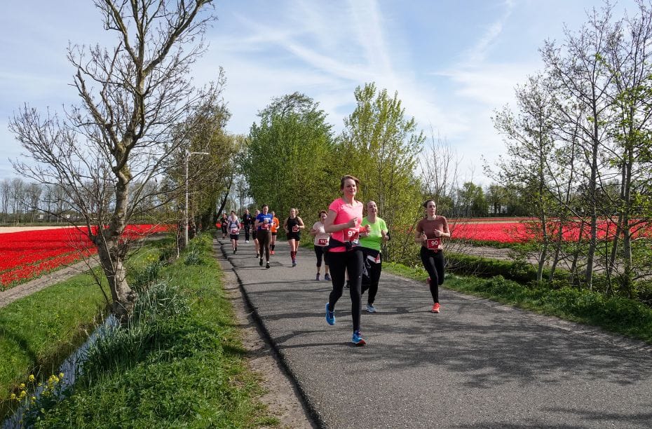 Voorbeeld overzichtsfoto hardloopwedstrijd